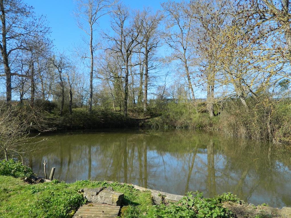 Meubles De Tourisme La Reserve Saint-Pierre-les-Bois Екстериор снимка